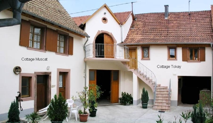 Gites Le Tokay Et Le Muscat Gertwiller Room photo
